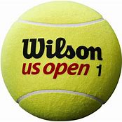 WIlson US Open 5" Mini Jumbo Ball